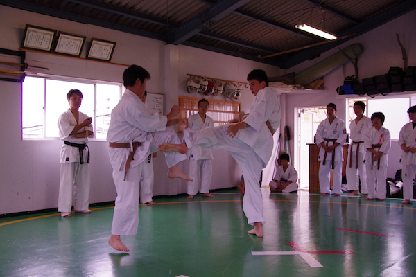 tya2 (111).jpg